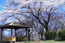 聖蹟桜ヶ丘イメージ
